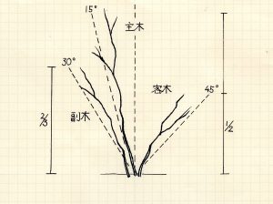 植栽の基本形