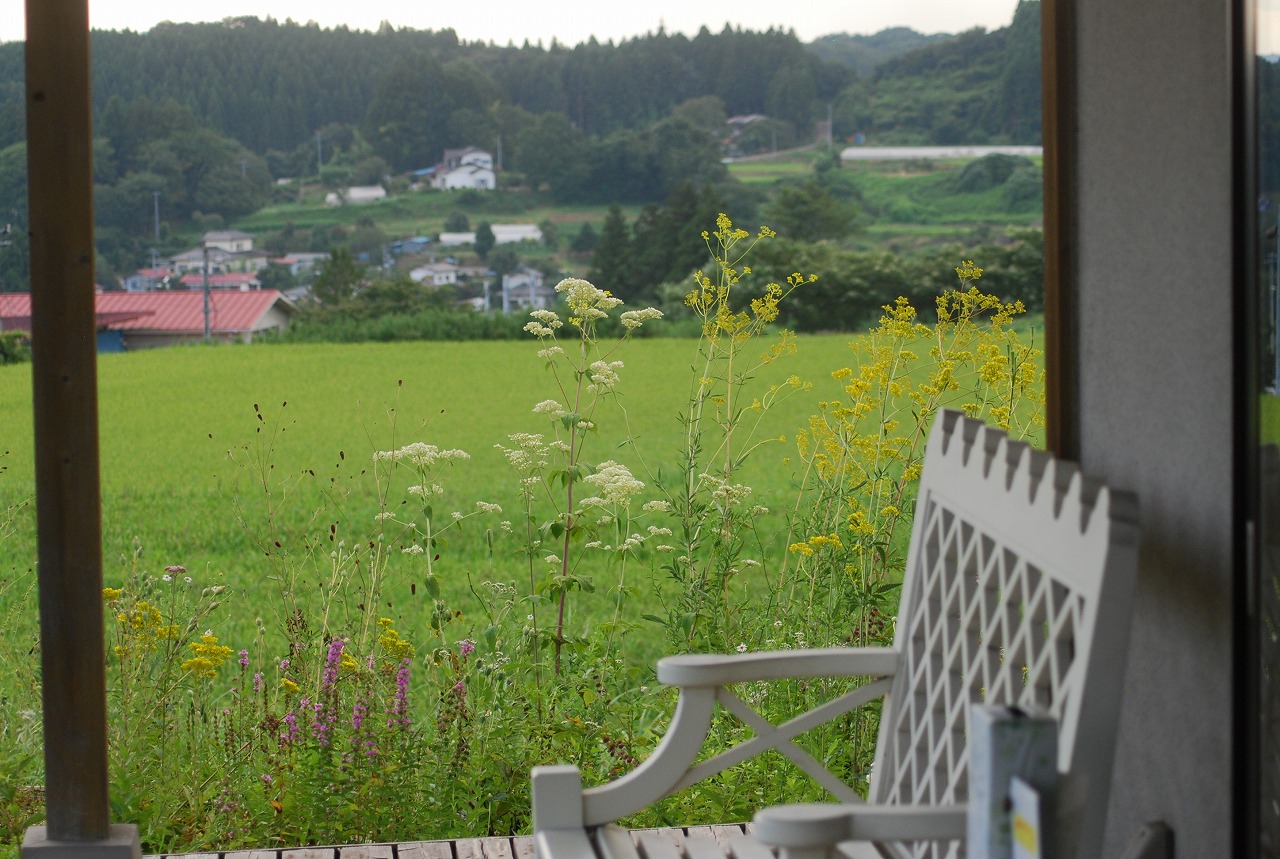 8月29日