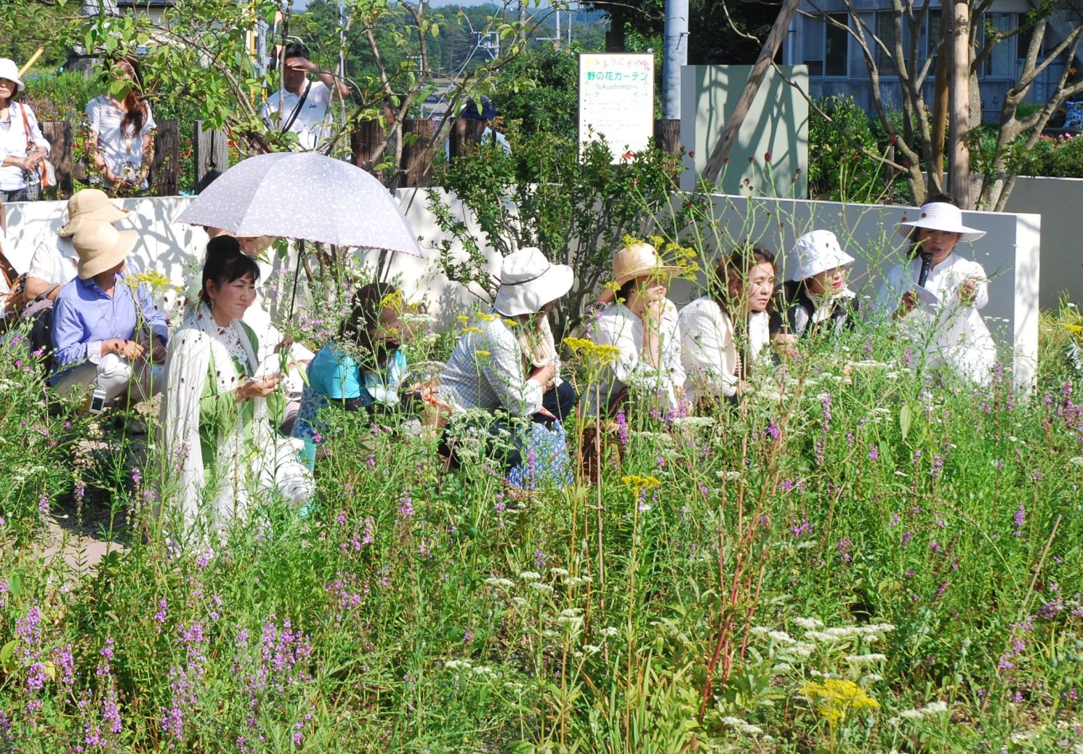 野の花ガーデンfukushima | 有限会社仲田種苗園